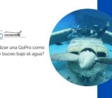 ¿Cómo utilizar una GoPro como cámara de buceo bajo el agua?
