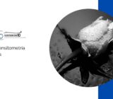Todo lo que necesitas saber (pero absolutamente todo) sobre la sensitometría fotográfica